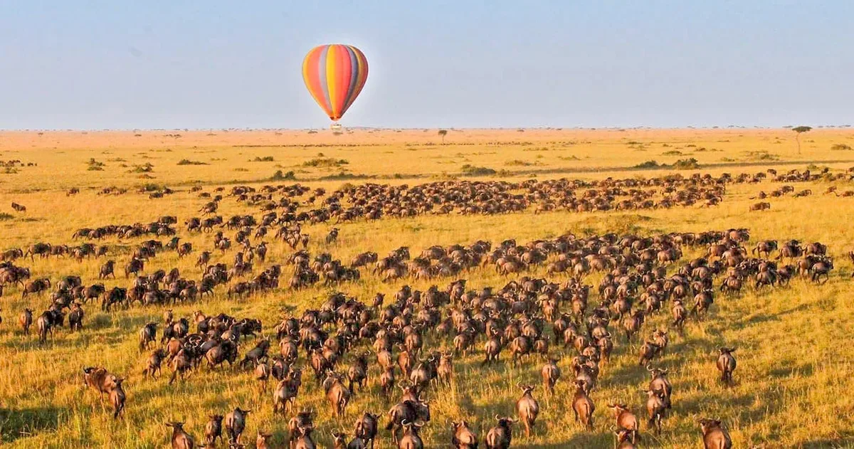 The Great Migration