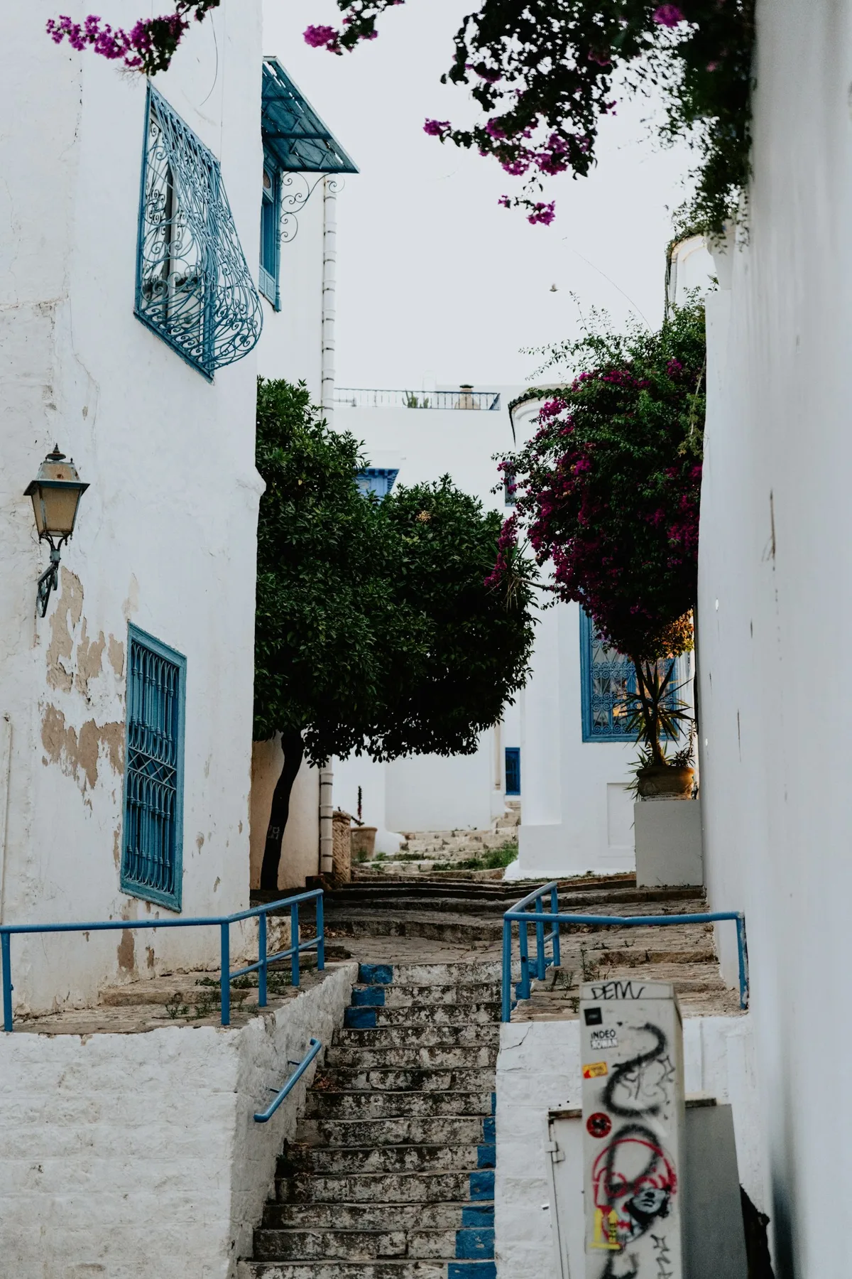 Tunisia + Algeria